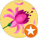 M. DF profile picture